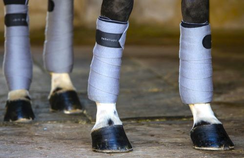Stable Bandages