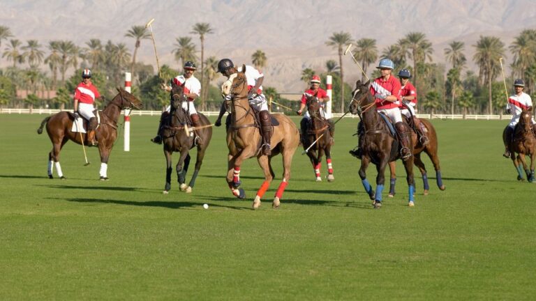 Polo match