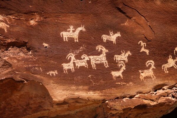 history of horse domestication