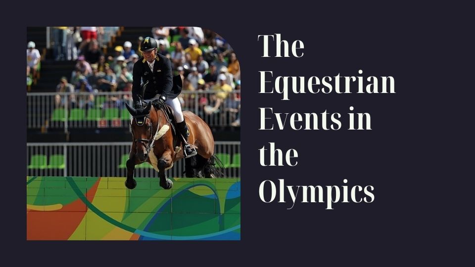 What Is Cross Country Horse Riding? Equestriguide