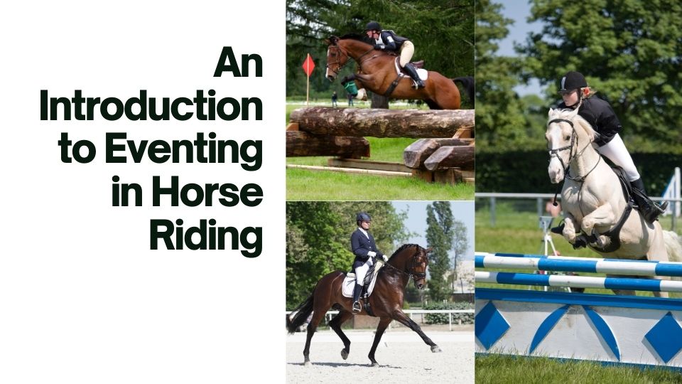 What is Eventing in Horse Riding? Equestriguide